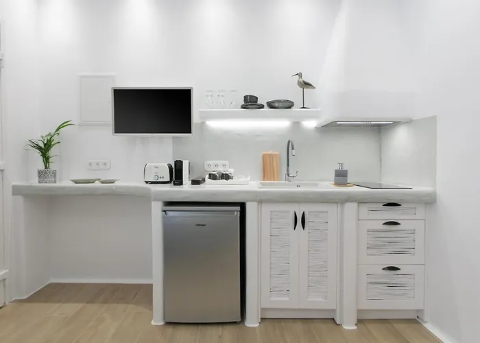 Hora Seaside Daire Naxos City